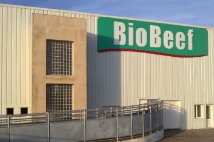 Le groupe Crédit Agricole du Maroc dans un investissement de 2,3 millions $ au sein du capital de la société Bio Beef