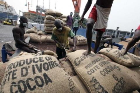 Côte d'Ivoire: les banques ayant prêté aux exportateurs de cacao en 2016/2017 sont dans la tourmente